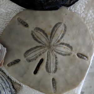 Meet your Posher, Heidi